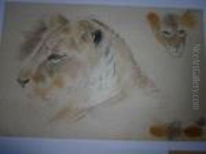 Tete De Lionceau. by Gustave Guetant