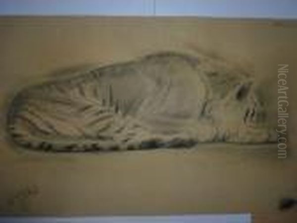 Tigre Allonge. - view 1