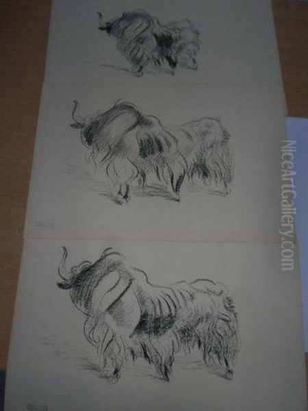 3 Yacks. - view 1