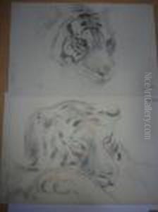 Tetes De Tigre. by Gustave Guetant