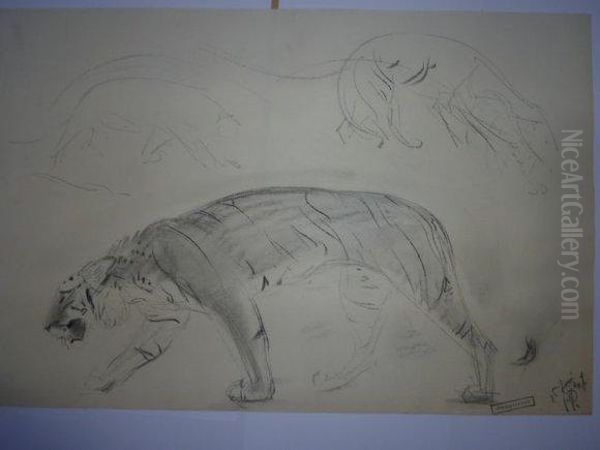 Tigre Marchand. - view 1