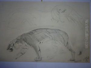 Tigre Marchand. by Gustave Guetant