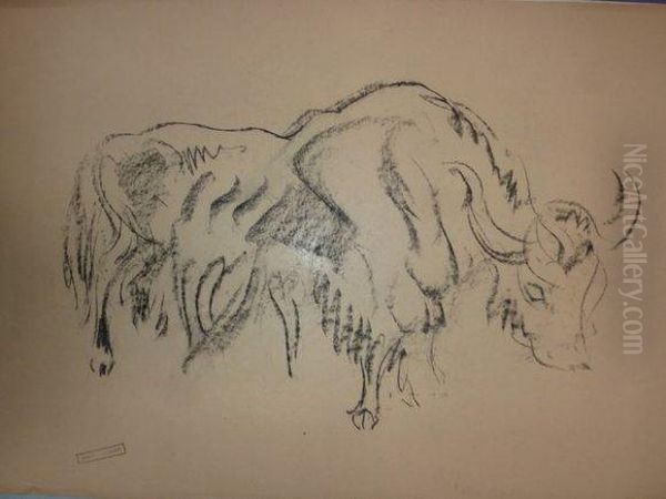 Yacks. - view 1