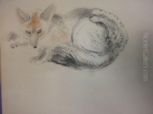 Loups. - view 1