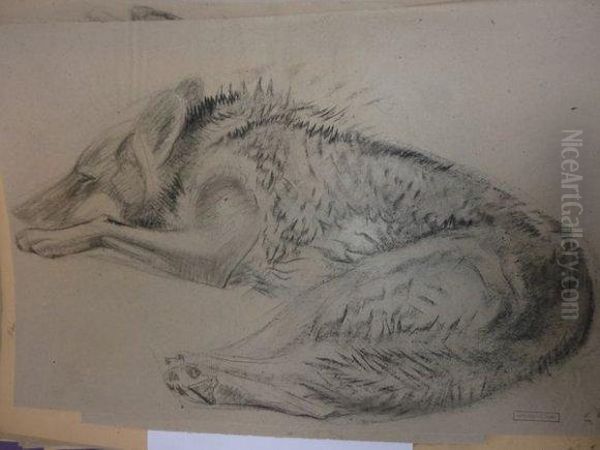 Loups - view 1