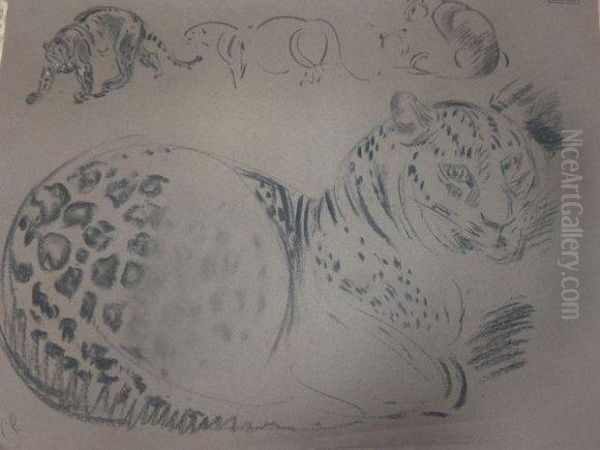 Guepard. - view 1