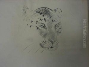 Les Guepard Et Leopard.