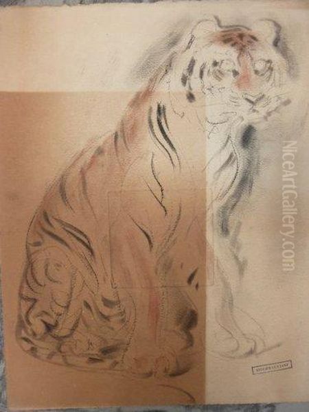 Tigre Assis. - view 1