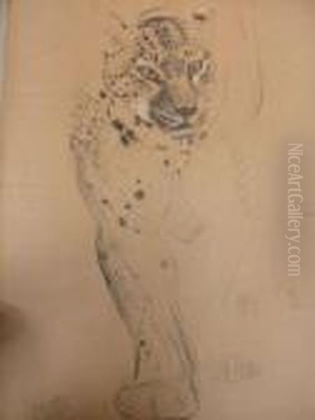 Le Leopard - view 1