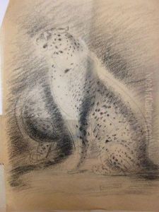 Des Jaguars. by Gustave Guetant