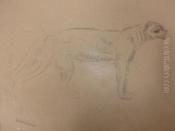 Des Lions. - view 1