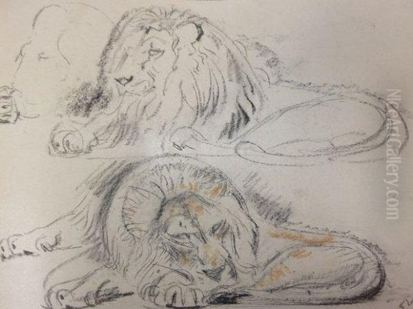 Des Lions. - view 1