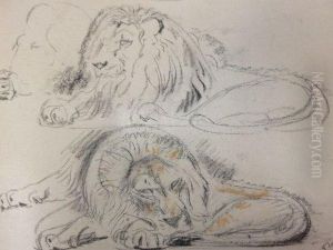 Des Lions. Des Lions.