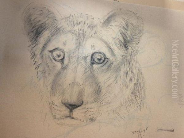 Des Gueules De Lions. - view 1