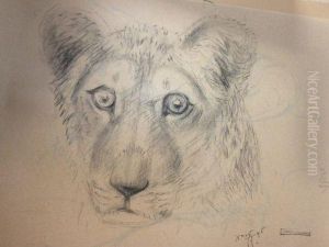 Des Gueules De Lions.