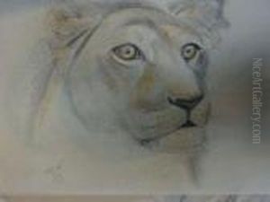 Des Lions.