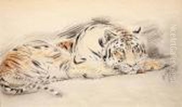 Tigre Couche - view 1
