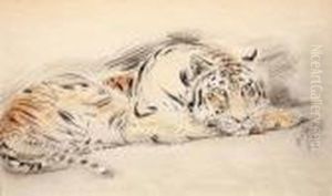 Tigre Couche by Gustave Guetant