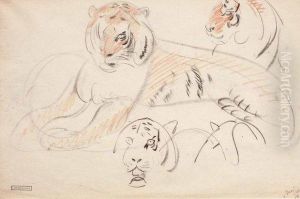 Etudes De Tigres by Gustave Guetant