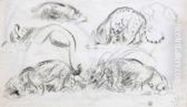 Etudes De Felins - view 1