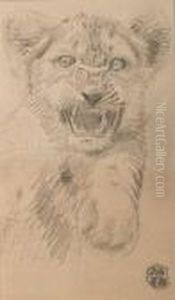 Tigre by Gustave Guetant