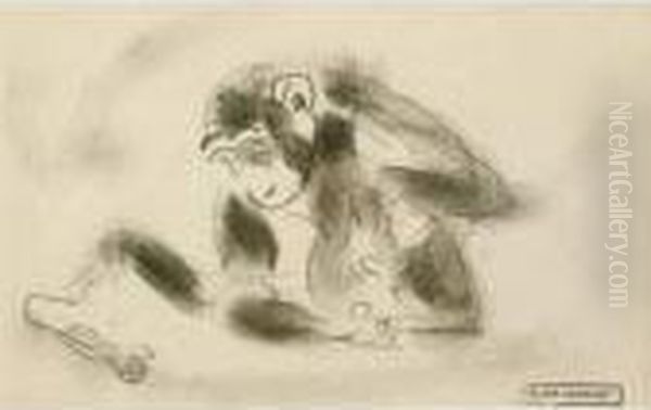 Chimpanze. - view 1