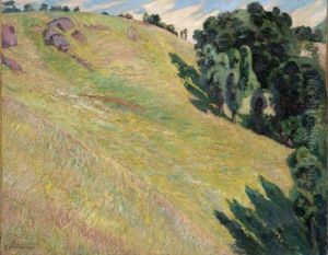 Paysage Paysage