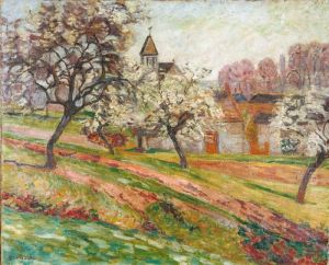 Cerisiers En Fleurs
