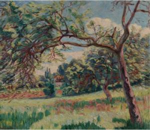 Paysage