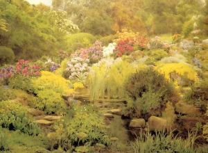 A Watergarden