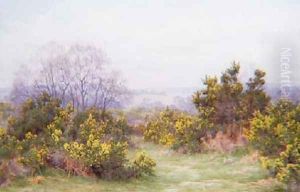 A Surrey Common by George Marks