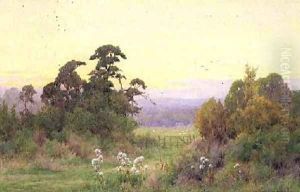 Beeding Hill from Steyning Sussex