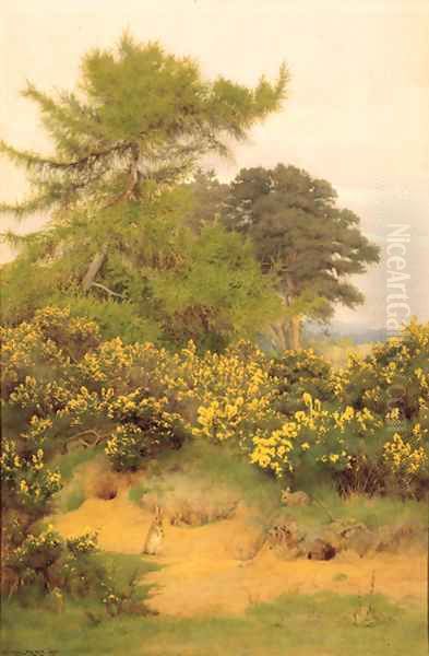 On the edge of Shere Heath - view 1