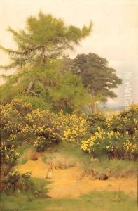 On the edge of Shere Heath by George Marks