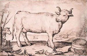 A Cow by Jacob Matham