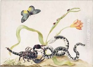 Scorpion and Snake by Maria Sibylla Merian