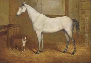 A grey with a terrier in a stable by John Charles Maggs