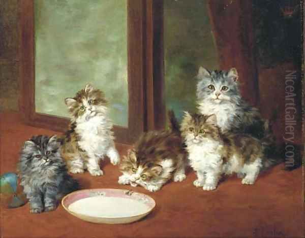 Waiting for dinner - view 1