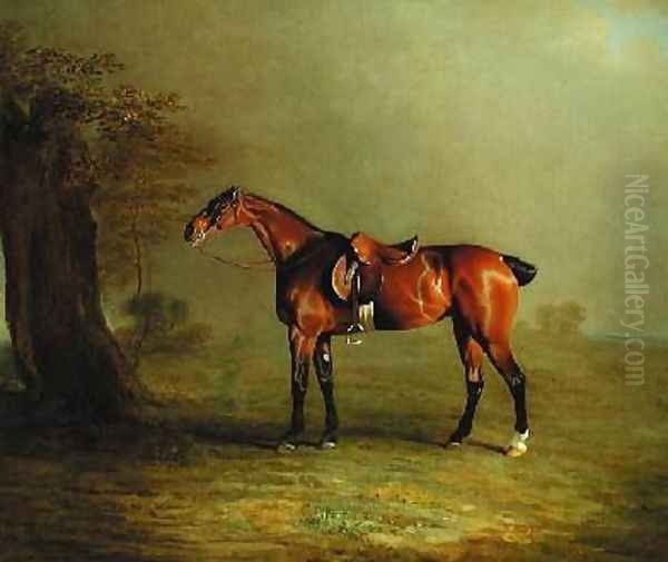 Racehorse - view 1