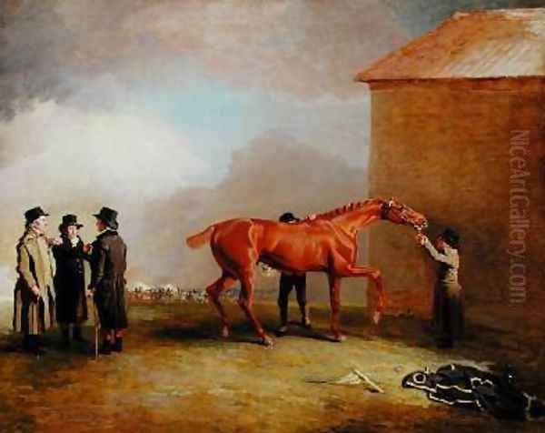 Muly Moloch a chestnut colt being rubbed down on Newmarket Heath - view 1