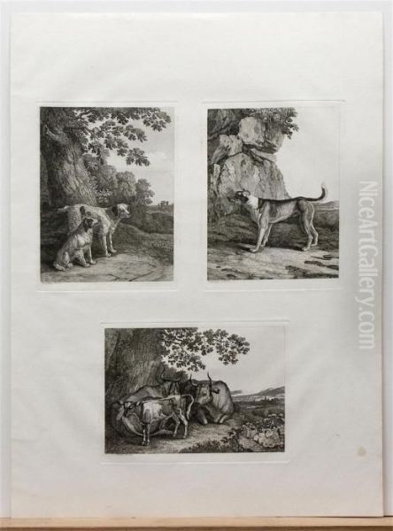 Zwei Kuhe Und Ein Kalb Bei Hohem Baume Ruhend - view 1