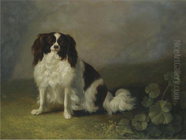 A King Charles Spaniel In A Landscape - view 1