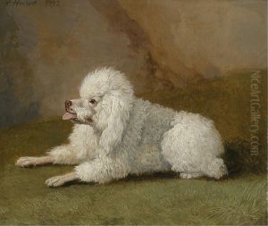 Portrait Of A Poodle by Jacob Philipp Hackert