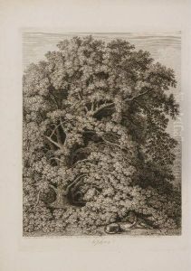 Sophora, Sophora Japonica Au 
Jardin Anglais A Caserte, Desine Dapres Nature Et Grave A L'eau Fort Par
 Philippe Hackert 1801 by Jacob Philipp Hackert