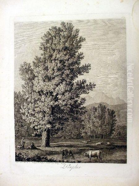 Peuplier, Desine Dapres Nature 
Au Bain De Luques 1802 &amp; Grave A L'eau Fort Par Philippe Hackert - view 1