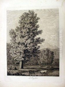 Peuplier, Desine Dapres Nature 
Au Bain De Luques 1802 &amp; Grave A L'eau Fort Par Philippe Hackert by Jacob Philipp Hackert
