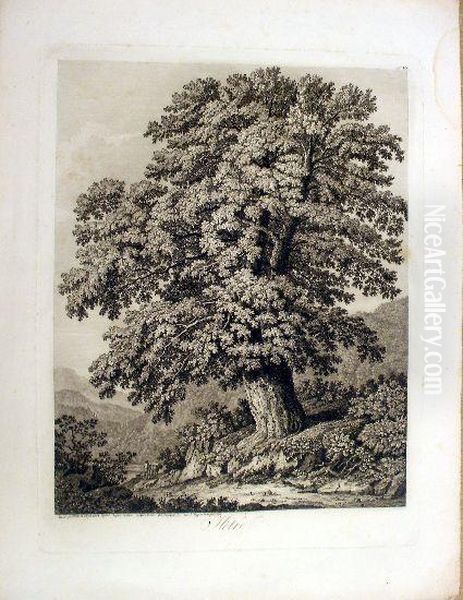 Hetre, Grave Por Phil: Hackert
1802, Desine Dapres Nature Aux Camuldules Dell'incoronata Dans Le Royome
De Naples 1798 - view 1