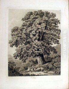 Hetre, Grave Por Phil: Hackert 
1802, Desine Dapres Nature Aux Camuldules Dell'incoronata Dans Le Royome
 De Naples 1798 by Jacob Philipp Hackert