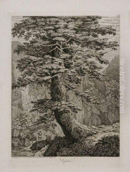 Sapin, Desine D'apres Nature Au
Camaldule En Toscan 1801 Et Grave A L'eauforte Par Phil: Hackert 1802 - view 1