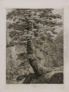 Sapin, Desine D'apres Nature Au 
Camaldule En Toscan 1801 Et Grave A L'eauforte Par Phil: Hackert 1802 by Jacob Philipp Hackert